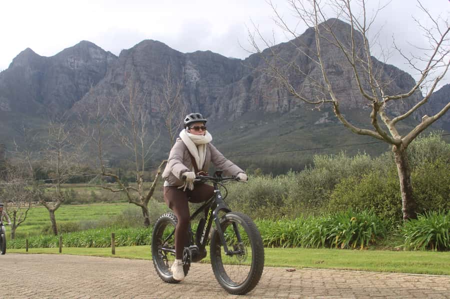 Stellenbosch: Countryside Banhoek valley E-Bike Wine Tour - Who should book this Banhoek outing