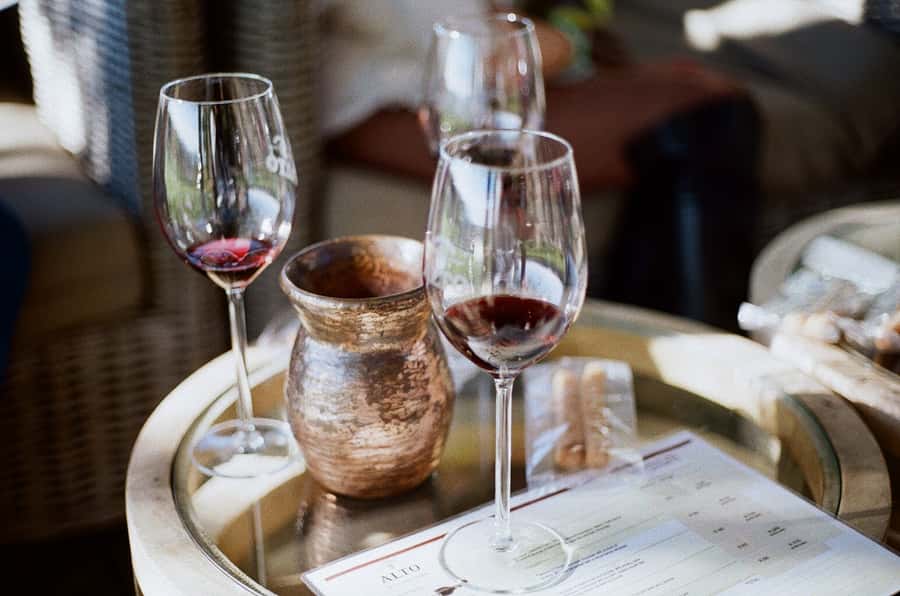 Stellenbosch: Daily Diffirent small group full day wine tour - Why a winemaker guide changes the day