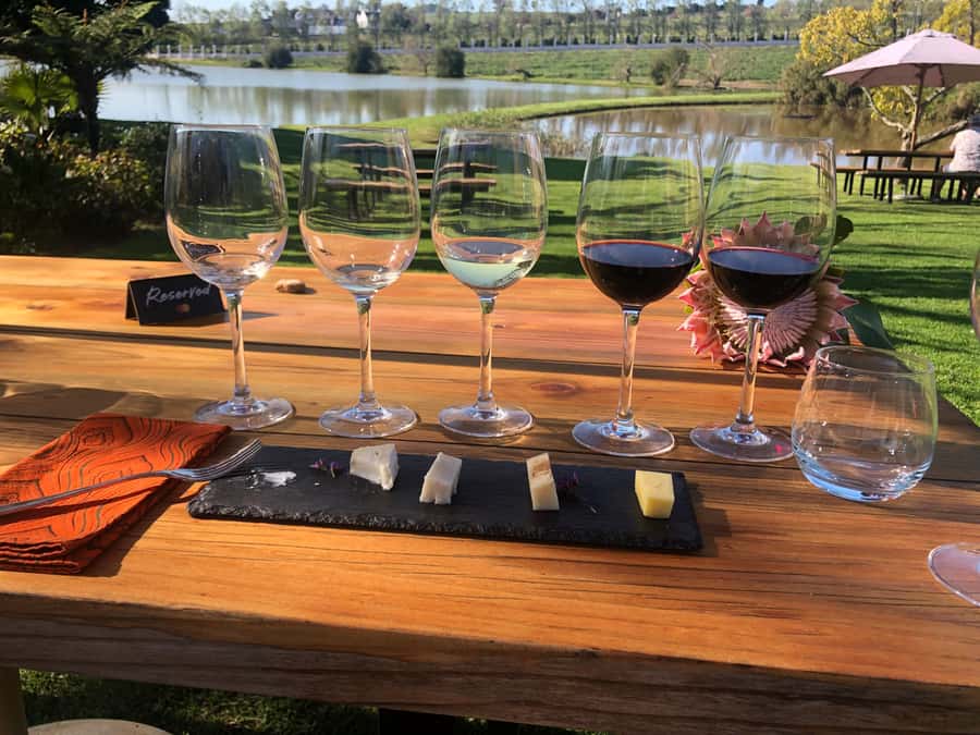 Stellenbosch: Daily Diffirent small group full day wine tour - What the strongest praise tells you