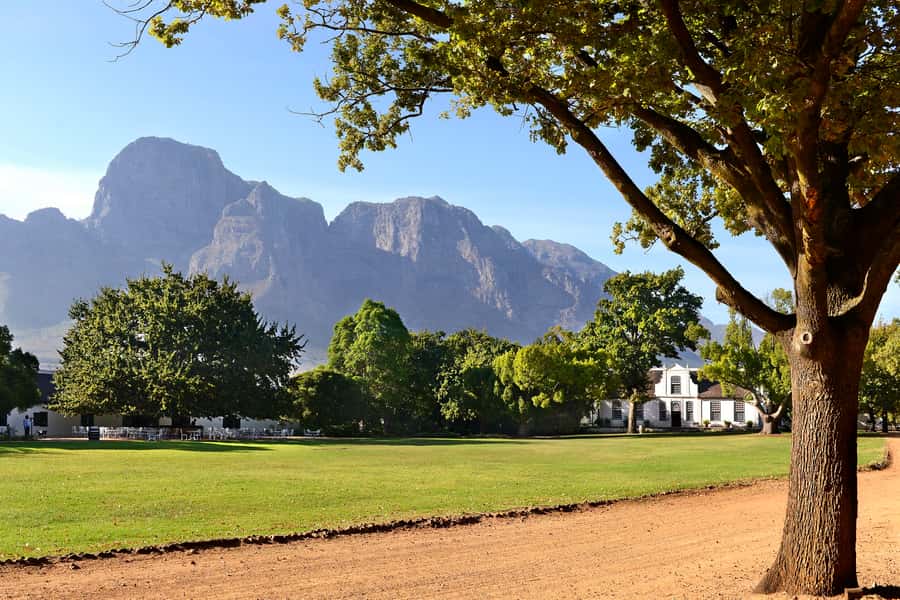 Stellenbosch: Eastern Route Hop-On Hop-Off Wine Tour - Key points to know before booking
