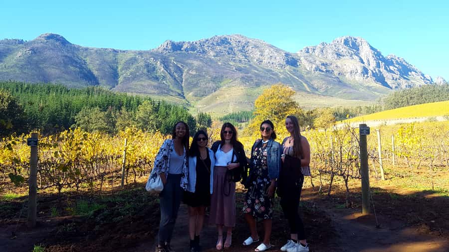 Stellenbosch: Eastern Route Hop-On Hop-Off Wine Tour - A full day on Stellenbosch’s Eastern Route