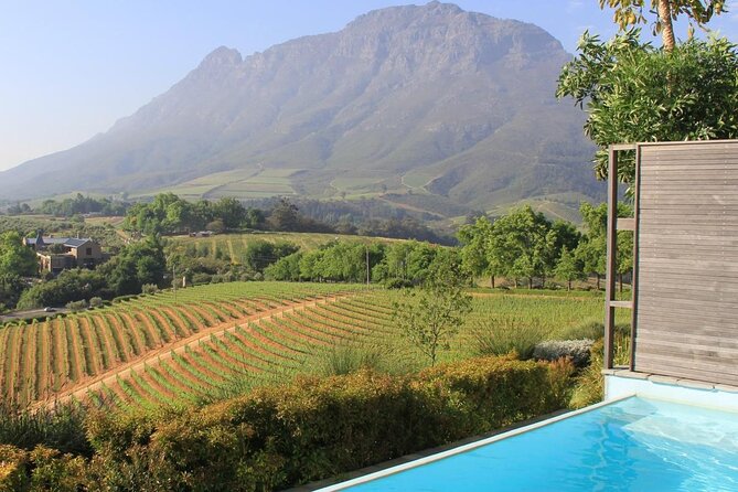 Stellenbosch & Franschhoek 20 Wine Tasting + Lunch Shared Tour - Key points at a glance