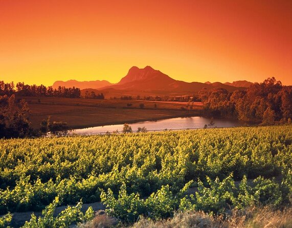 Stellenbosch, Franschhoek and Paarl Winelands Full Day Trip from Cape Town - Key points to know before booking