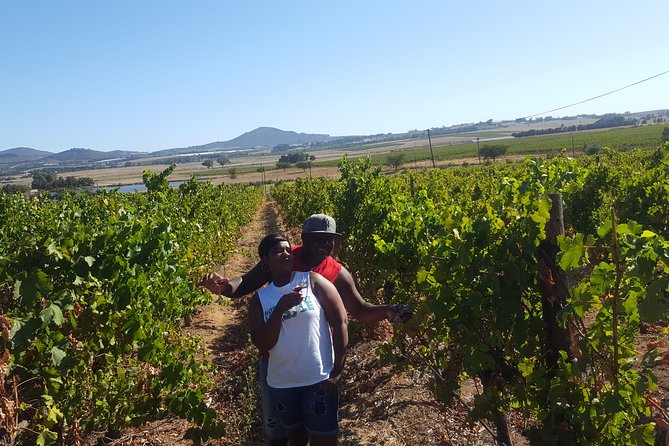 Stellenbosch Franschhoek Full-Day Tour with Cheese Tasting - Inside the Bergkelder cellar
