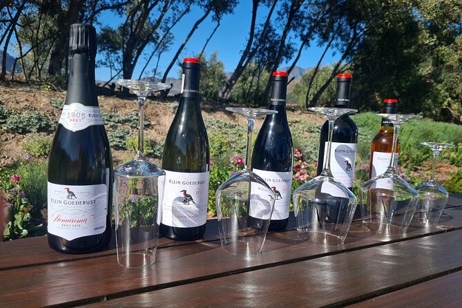 Stellenbosch & Franschhoek Wine Tasting Private Tour incl. Lunch - Food, alcohol, and practical comfort