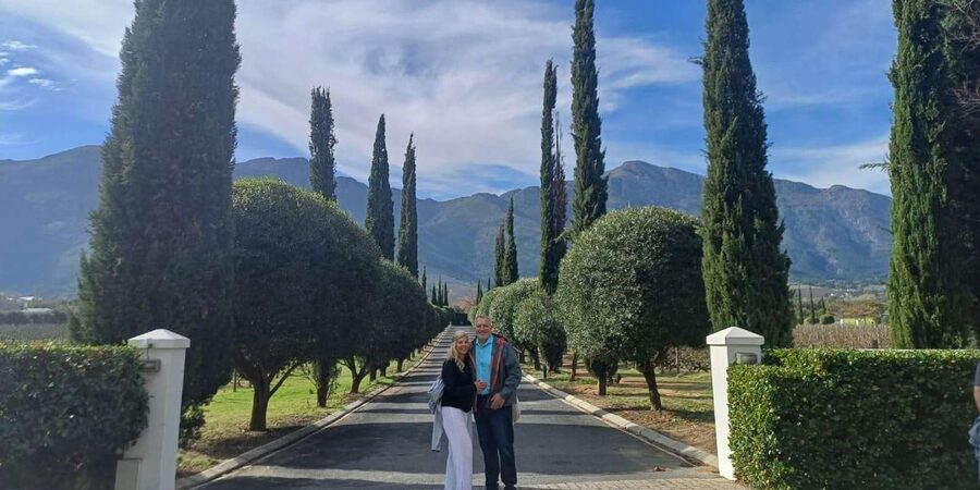 Stellenbosch, Franshoek ,Paarl Region (20 wine tastings) - Tokara for red wine, olive oil, and wide views