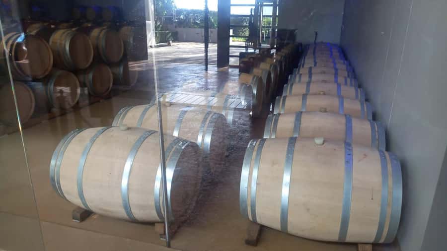 Stellenbosch, Franshoek ,Paarl Region (20 wine tastings) - Delheim, the best place to slow down for lunch
