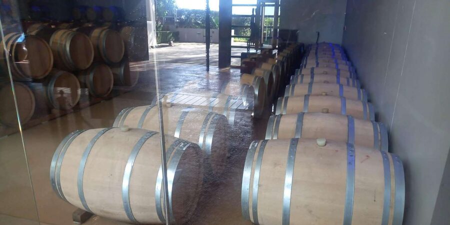 Stellenbosch, Franshoek ,Paarl Region (20 wine tastings) - Fairview’s six wines with six cheeses