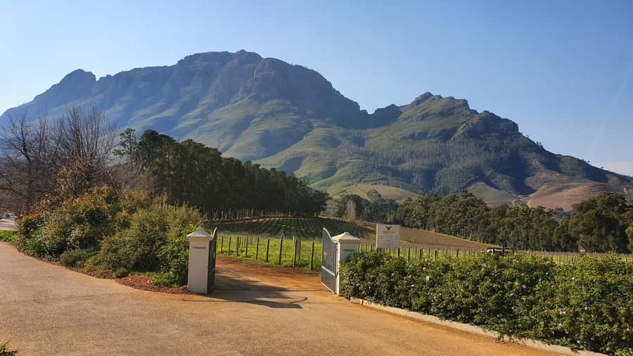 Stellenbosch: Guided Vineyard Hike and Wine Tasting - The cellar tour makes the tastings useful