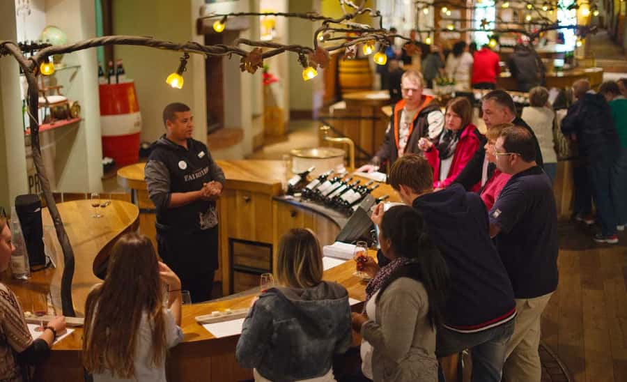 Stellenbosch: Half-Day Wine Tour - Key points worth knowing