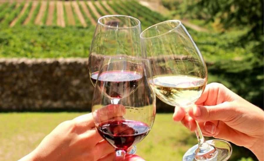 Stellenbosch: Half-Day Wine Tour - Why this five-hour tour works well from Cape Town