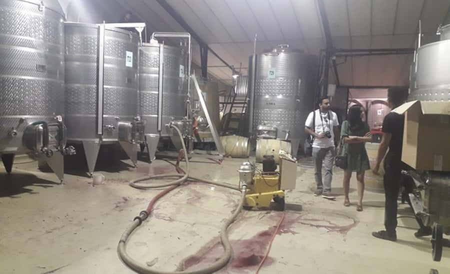Stellenbosch: Half-Day Wine Tour - The optional Tanzanite and Diamond experience