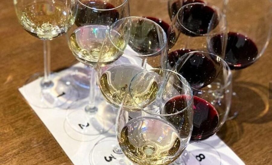 Stellenbosch: Half-Day Wine Tour - Food choices, wine purchases, and what to budget