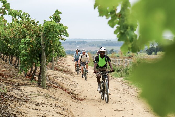Stellenbosch Half Day Winelands Mountain Bike Tour - What the $63.20 Price Covers