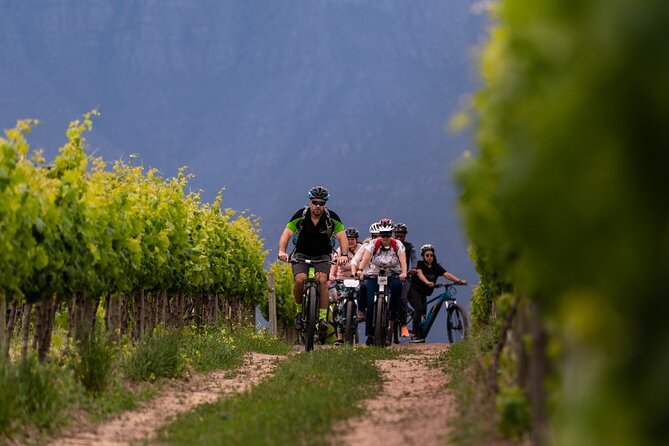 Stellenbosch Half Day Winelands Mountain Bike Tour - Why the Guides Matter More Than the Mileage