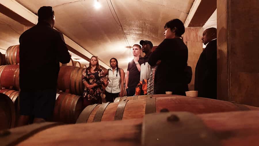 Stellenbosch: Historical Bike Tour & Wine Tasting - Key points at a glance
