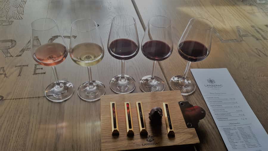 Stellenbosch: Historical Bike Tour & Wine Tasting - First estate: wine with mountain views