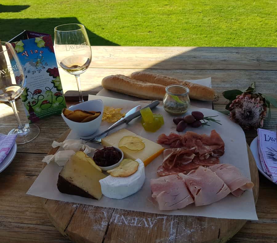 Stellenbosch: Hop-On Hop-Off Northern Route Wine Tour - Simonsig for bubbles and a lively start