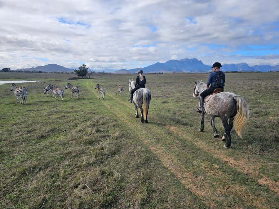Stellenbosch: Horse Riding Wildlife Safari - Key points at a glance