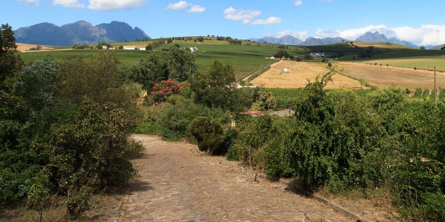 Stellenbosch North Guided Wine Safari (Tastings Excluded) - How the guiding affects the day