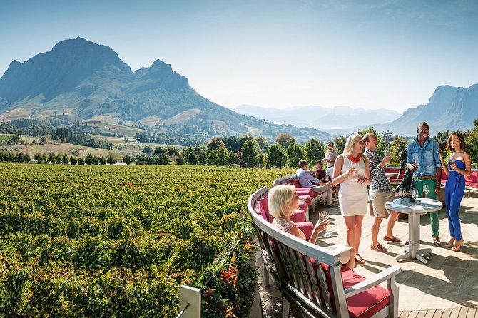 Stellenbosch, Paarl & Franschhoek Private Full Day Wine Tour - Stellenbosch town orientation at 9:00 am