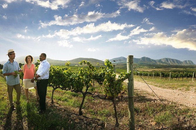 Stellenbosch, Paarl & Franschhoek Private Full Day Wine Tour - Franschhoek, French influence, and lunch time