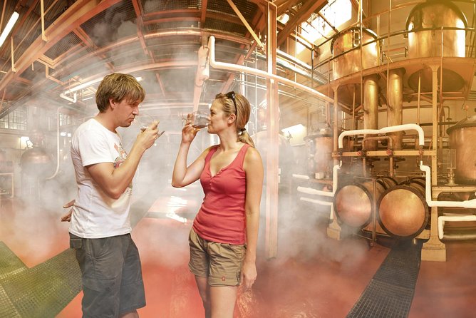 Stellenbosch, Paarl & Franschhoek Private Full Day Wine Tour - Fairview adds wine, cheese, and a relaxed finish