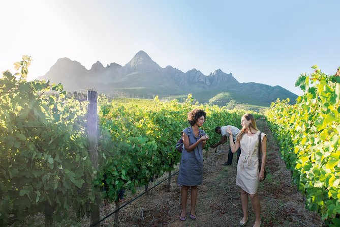 Stellenbosch, Paarl & Franschhoek Private Full Day Wine Tour - Ray and the value of a flexible guide