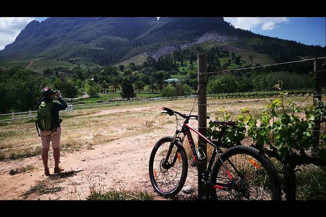 Stellenbosch Private E-Bike & Wine Tour - What the guide adds to the morning