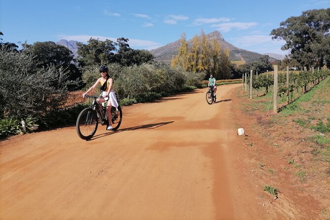 Stellenbosch Private E-Bike & Wine Tour - What the $103.89 price includes
