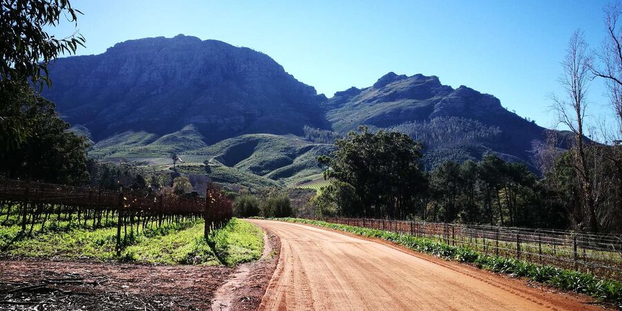 Stellenbosch: Stellenbosch E-Bike & Wine Tour (Shared Tour) - How much riding should you expect?