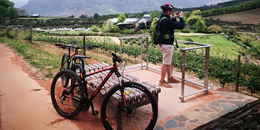 Stellenbosch: Stellenbosch E-Bike & Wine Tour (Shared Tour) - The value of $118 per person