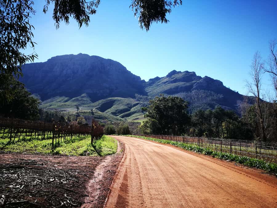 Stellenbosch: Stellenbosch Private E-Bike & Wine Tour - Key details at a glance