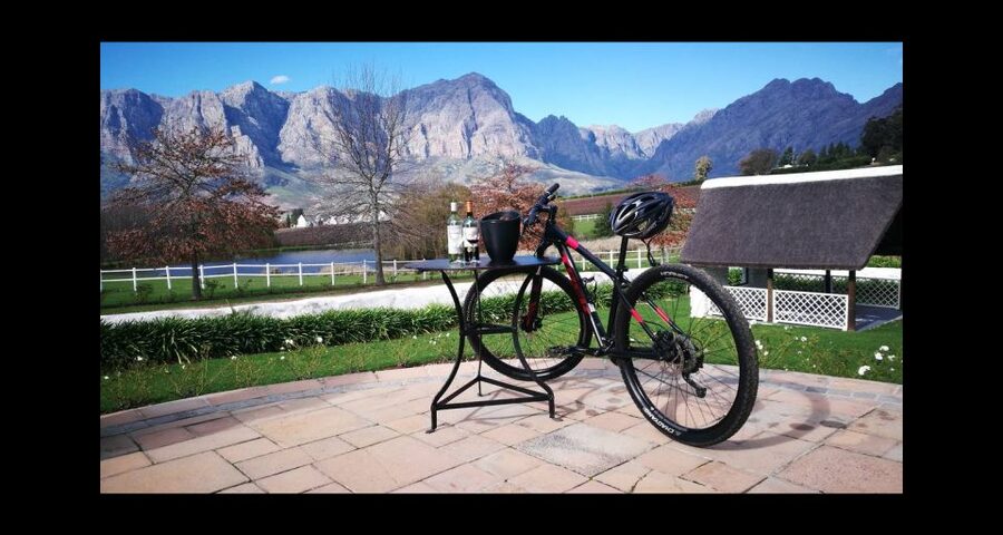 Stellenbosch: Stellenbosch Private E-Bike & Wine Tour - Should you book the Banghoek Valley e-bike tour?