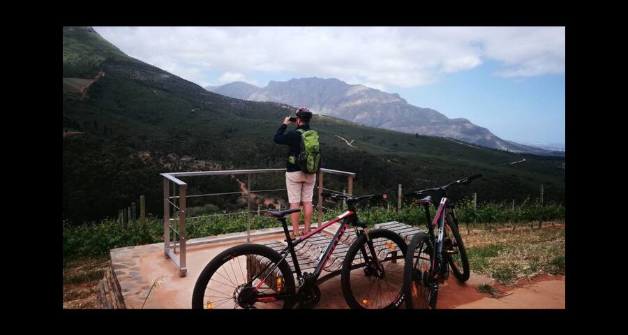 Stellenbosch: Stellenbosch Private E-Bike & Wine Tour - What the $186 price really buys