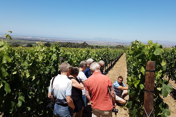 Stellenbosch Valley. Private wine tour with winemaker in Swedish or English. - A private route through the Cape Winelands