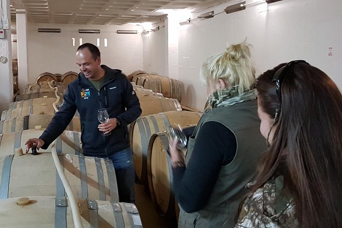 Stellenbosch Valley. Private wine tour with winemaker in Swedish or English. - Why the guide makes a difference