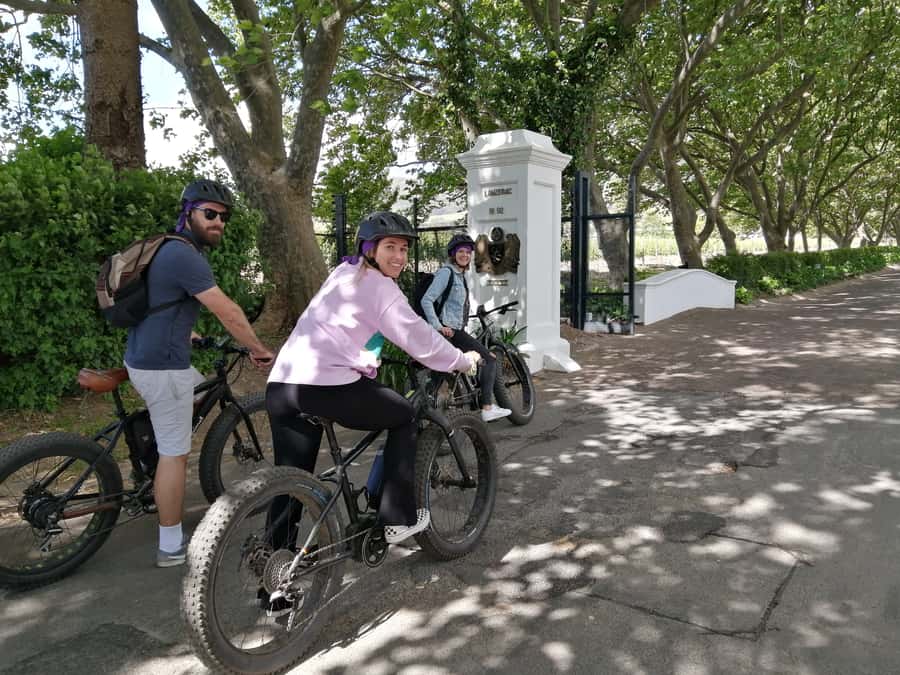 Stellenbosch: Wine Farm E-Bike Guided Tour - Key points to know before you book