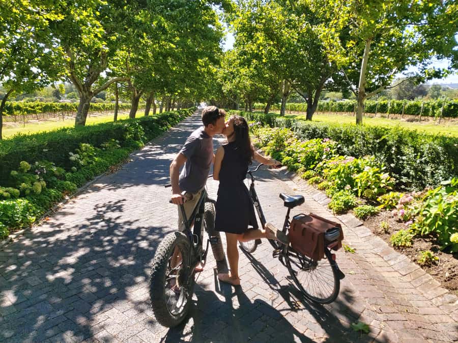 Stellenbosch: Wine Farm E-Bike Guided Tour - Why an e-bike works so well in Stellenbosch