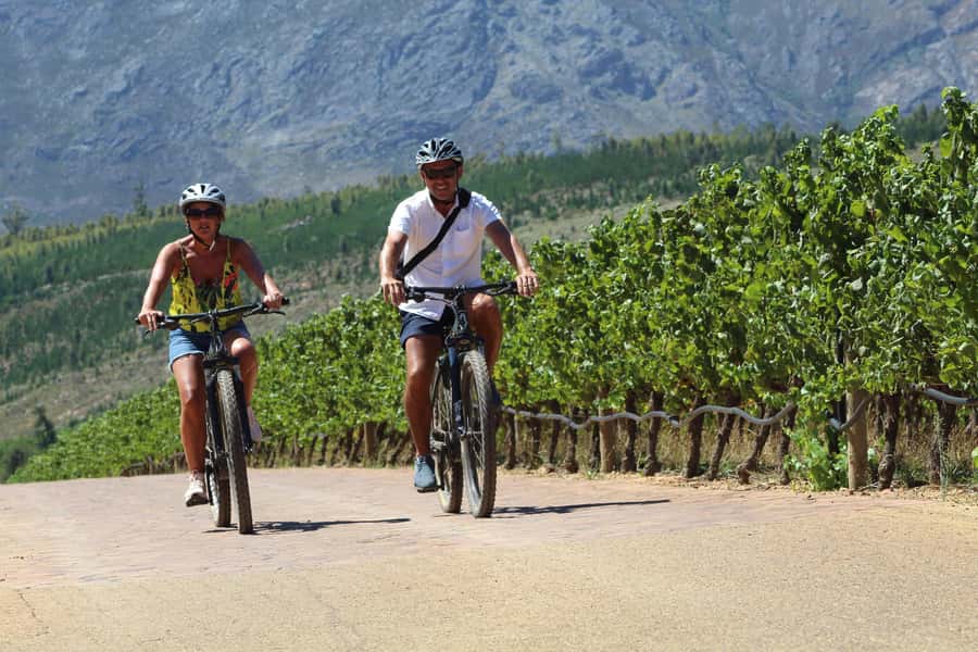 Stellenbosch: Wine Farm E-Bike Guided Tour - The first ride into Jonkershoek valley