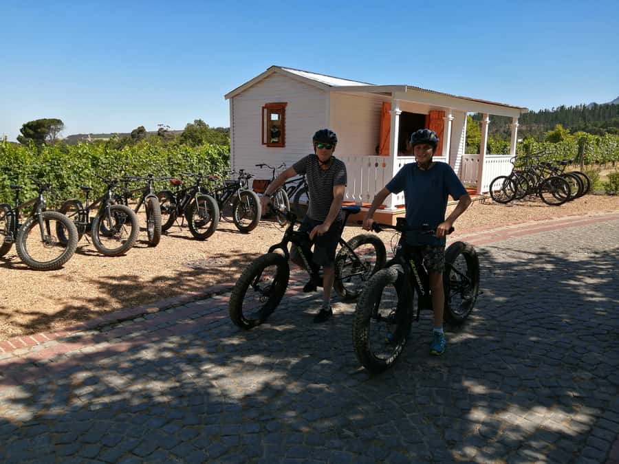 Stellenbosch: Wine Farm E-Bike Guided Tour - Starting at Lanzerac Wine Estate