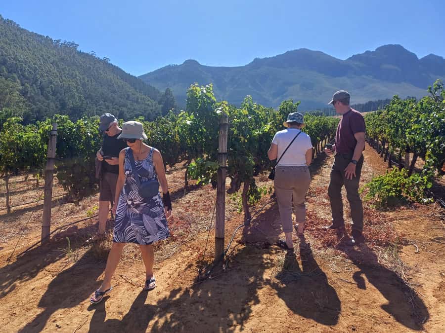 Stellenbosch wine tour, all inclusive of lunch and tastings. - Lunch brings local Cape flavors into the day