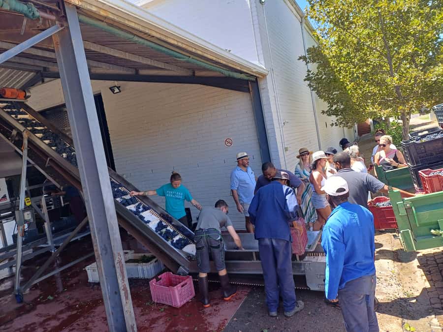 Stellenbosch wine tour, all inclusive of lunch and tastings. - Air-conditioned transport keeps the day simple