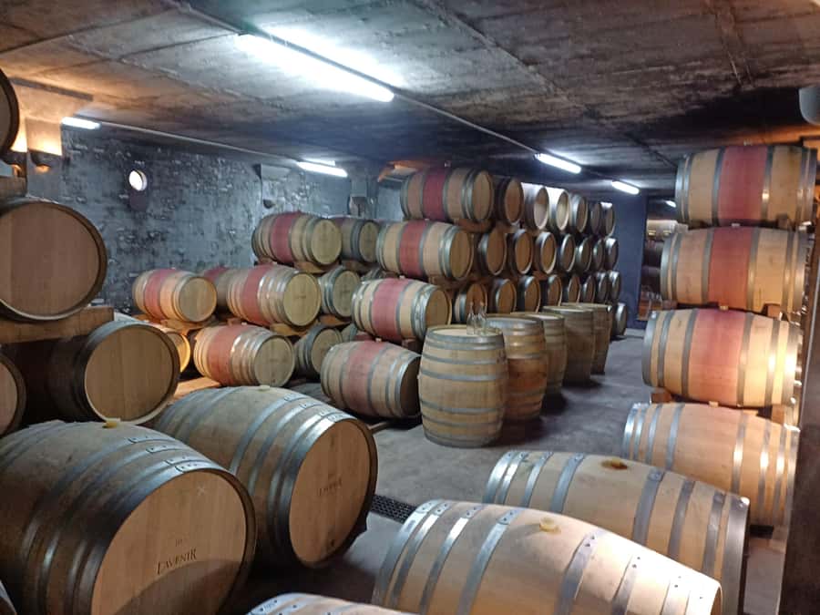 Stellenbosch wine tour, all inclusive of lunch and tastings. - How much value do you get for $105?