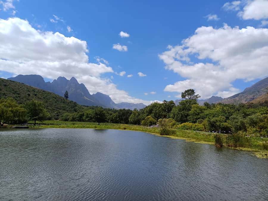 Stellenbosch wine tour, all inclusive of lunch and tastings. - The tastings are designed for learning, not just drinking
