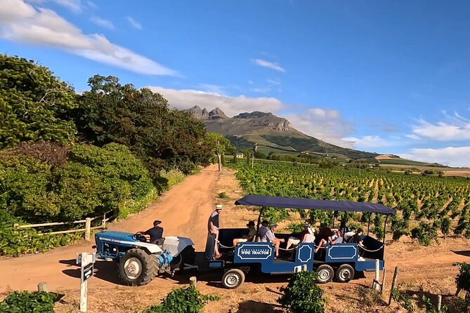 Stellenbosch Wine Tractor hop-on-hop off wine tasting tour - Key points before you book