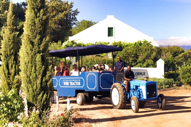 Stellenbosch Wine Tractor hop-on-hop off wine tasting tour - Choosing between the eight wine estates