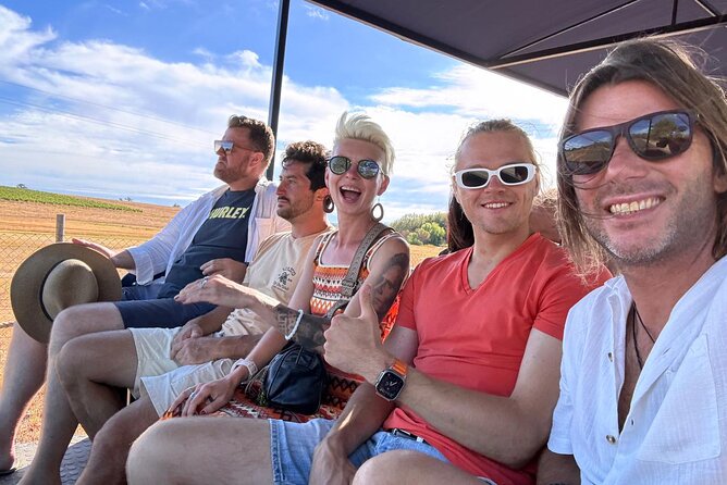 Stellenbosch Wine Tractor hop-on-hop off wine tasting tour - Family groups and mixed interests