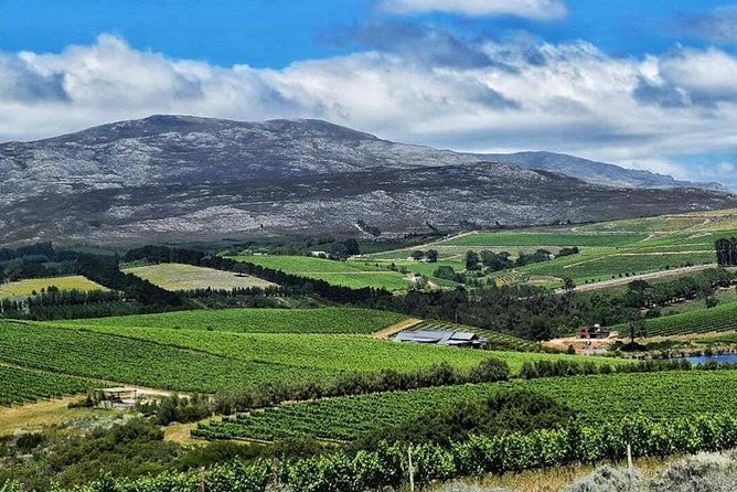 Stellenbosch Winelands Experience - Group size, transport, and the day’s pace