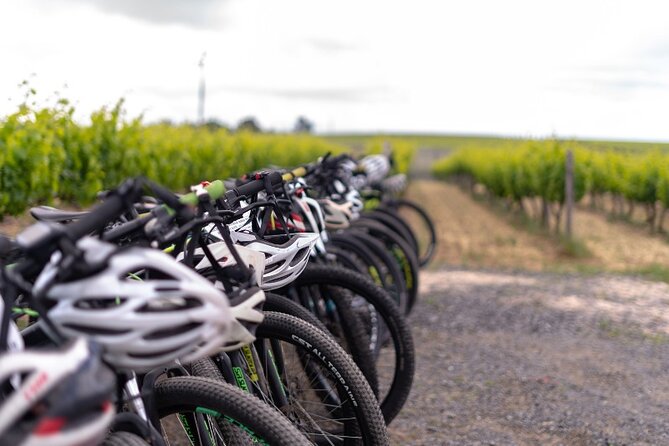 Stellenbosch Winelands Luxury EBike Tour © - What you actually taste and eat